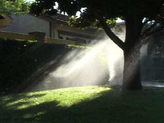 sacramento_sprinklers.jpg